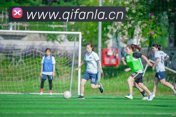 App Interface Preview